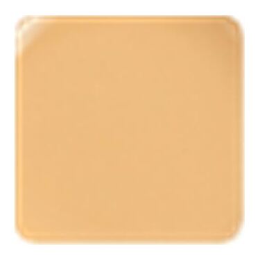 Elementwo CANVAS BLEND Foundation 30ml CBF-08 Desert Sand