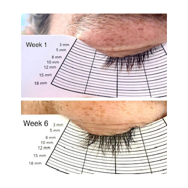 PEPTIDE PLUS - Lash Growth Serum