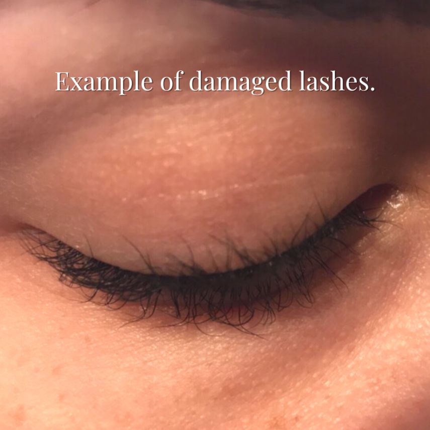 Damaged Lashes