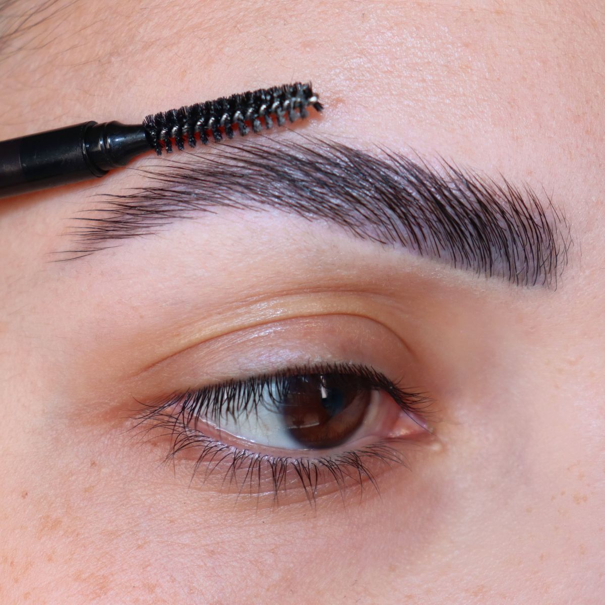 RUN YOUR BRUSH ALONG THE TOP OF THE BROWS