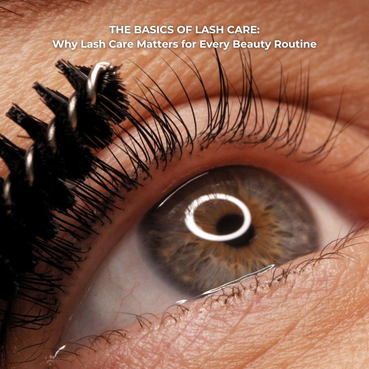 basics of lash care