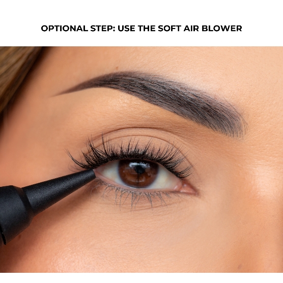 Optional Step: Use the Soft Air Blower