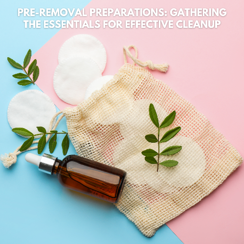 PRE-REMOVAL PREPARATIONS: GATHERING THE ESSENTIALS FOR EFFECTIVE CLEANUP