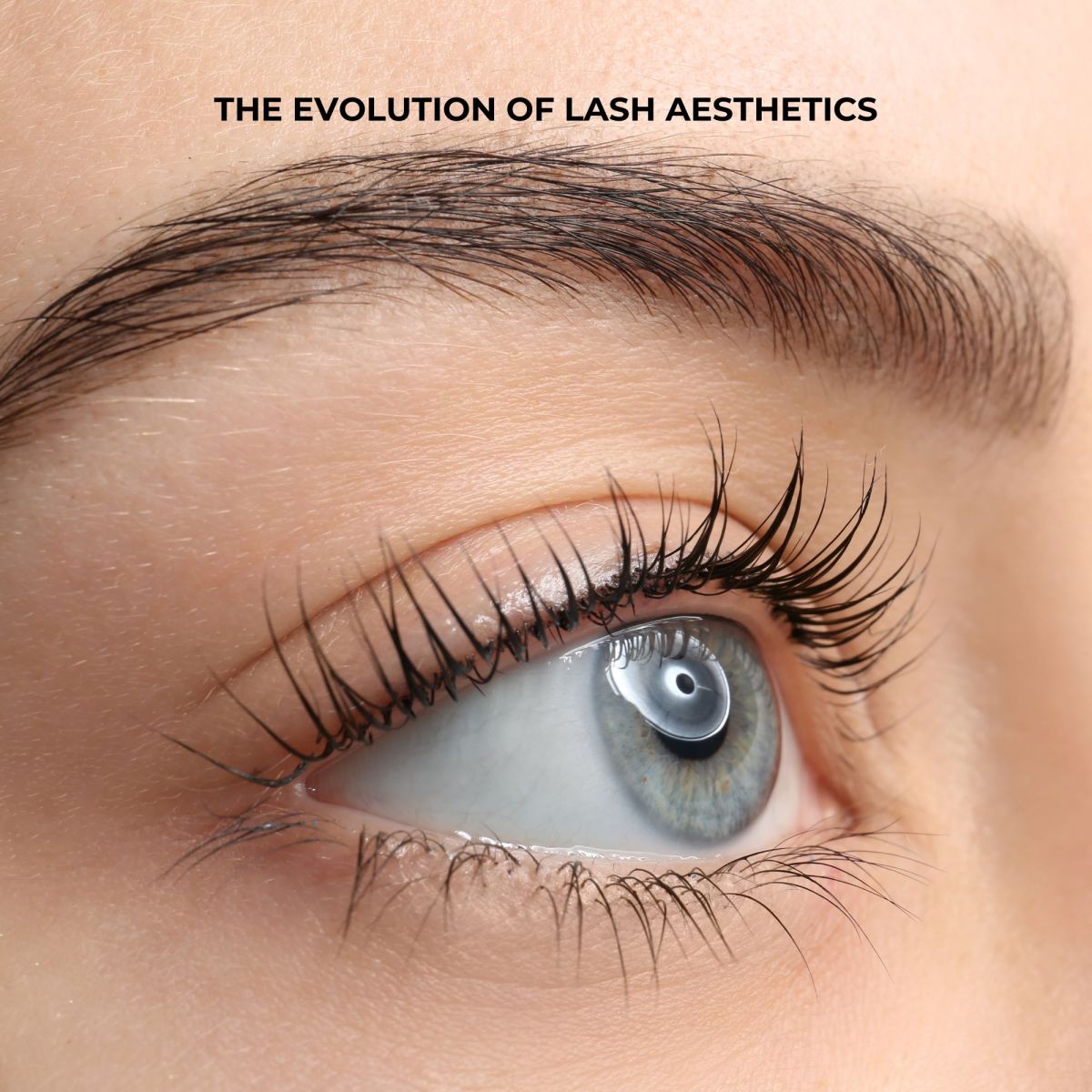 international lash day