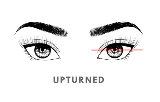 Upturned Eyes