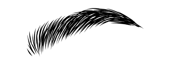Eyebrow Makeup